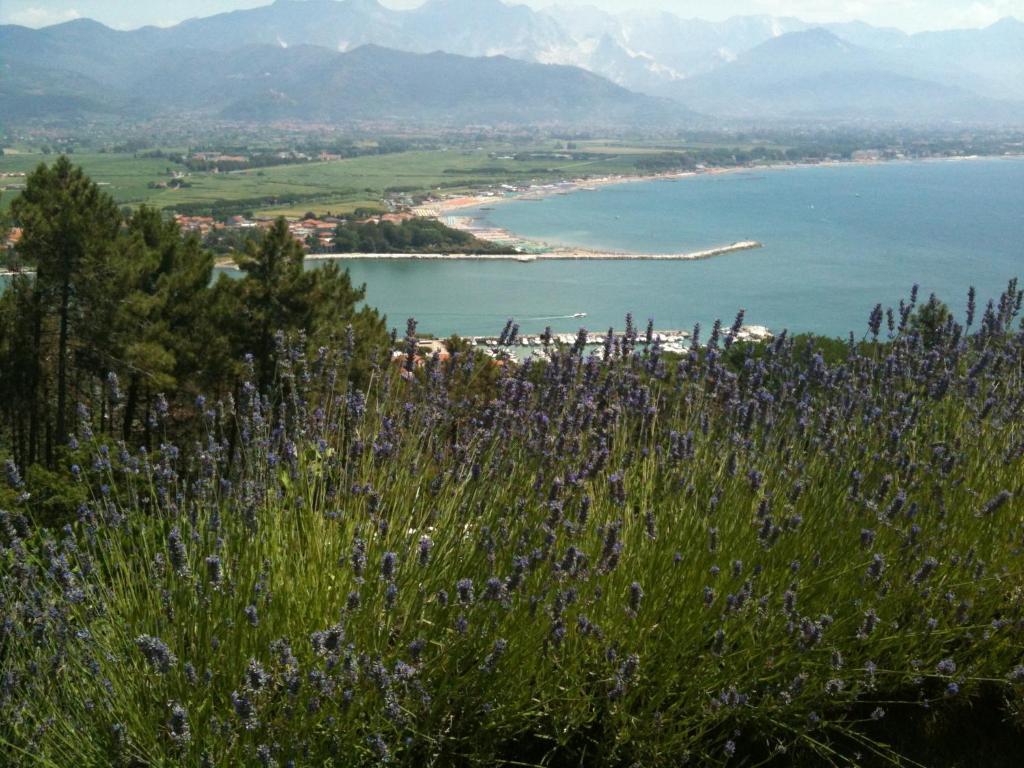 Villa I Poggioli Bocca di Magra Luaran gambar